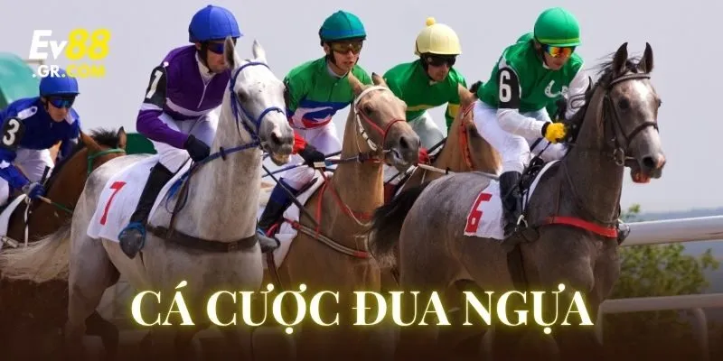 Cá Cược Đua Ngựa là gì?