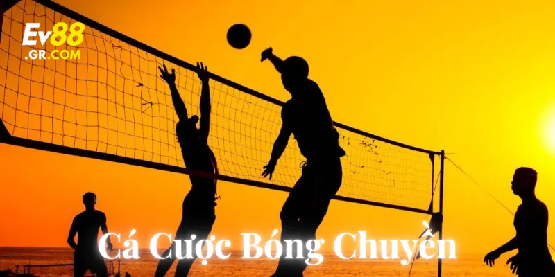 Lời khuyên an toàn khi cược
